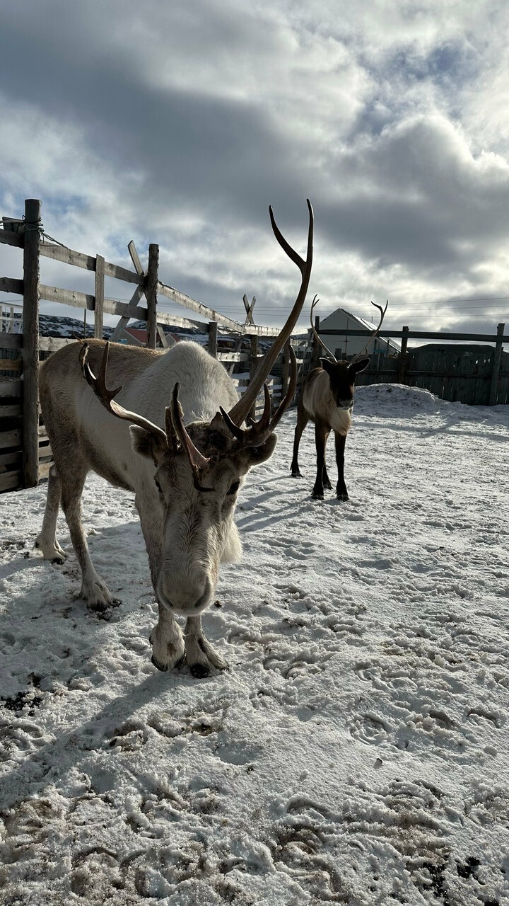 Териберка